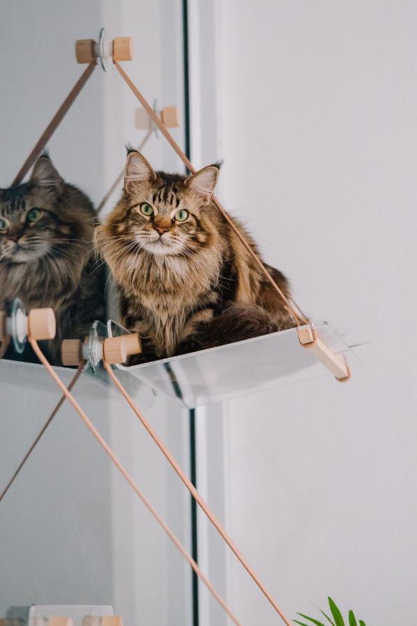 Meow Cafe & Hotel Patong Экстерьер фото